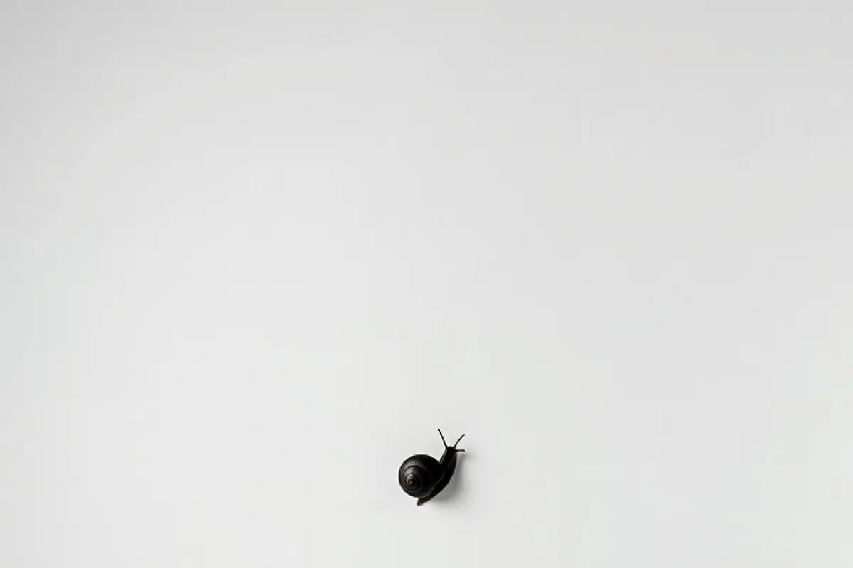 The Mark on the Wall cover